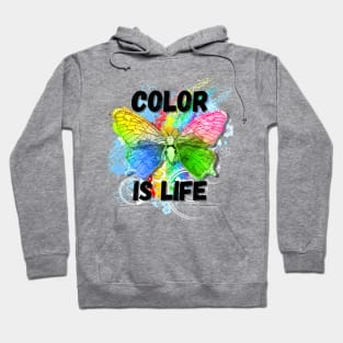 Color is Life Rainbow Butterfly Hoodie